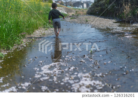 A boy playing in the river in the spring sunshine 126316201