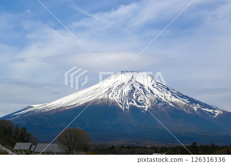 Lake Yamanaka Flower City Park view 126316336
