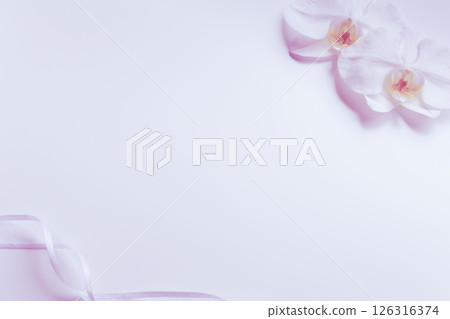 哀悼明信片蝴蝶蘭花卉背景 哀悼明信片蝴蝶蘭花卉背景 126316374