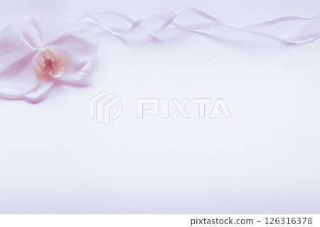 哀悼明信片蝴蝶蘭花卉背景 哀悼明信片蝴蝶蘭花卉背景 126316378