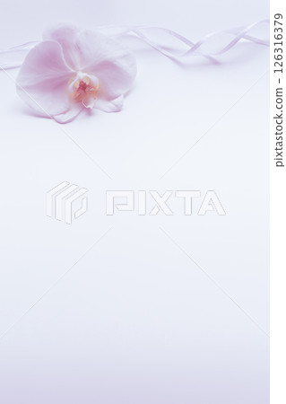 Mourning postcard Phalaenopsis flower background Mourning postcard Phalaenopsis flower background 126316379