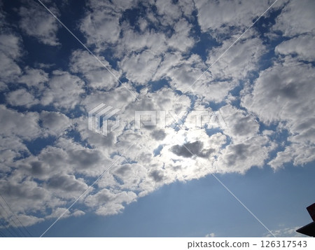 十一月的雲-5 126317543