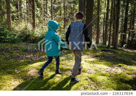 Brother and sister holding hands, walking on a path through a lush forest. Sunlight filters through the trees. 126317634