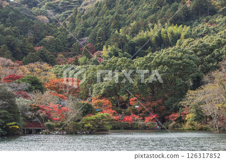 田原市滝頭公園的山與池塘的紅葉(愛知縣) 田原市滝頭公園的山與池塘的紅葉(愛知縣) 126317852