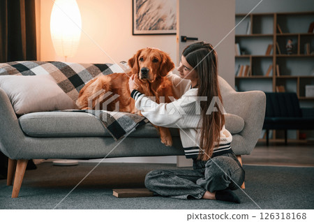 Cute golden retriever is in domestic room with his owner, beautiful young woman Cute golden retriever is in domestic room with his owner, beautiful young woman 126318168