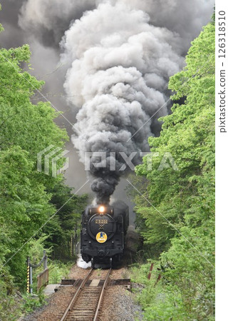 SL山口號、JR山口線、「新野直」線加速 SL山口號、JR山口線、「新野直」線加速 126318510