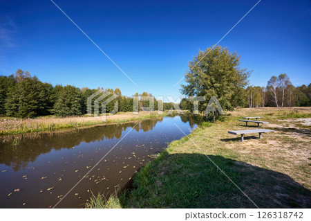 Serene Riverbank Scene with Lush Greenery Serene Riverbank Scene with Lush Greenery 126318742