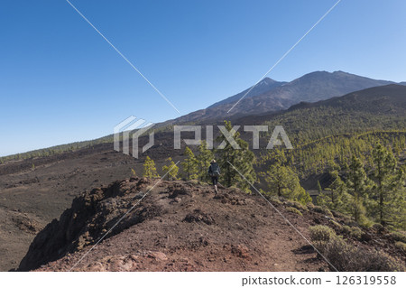 Winter view on volcano Pico del Teide with snow spots from hiking trail Samara. Mountains and lava fields with pine tree forest, blue sky. El Teide National Park, Tenerife, Canary Islands, Spain 126319558