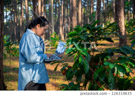 Harvest coffee bean ripe Red berries typing laptop computer check quality control plant coffee tree. Smart farmer using laptop in green coffee farm sustainable quality control agriculture technology 126319635