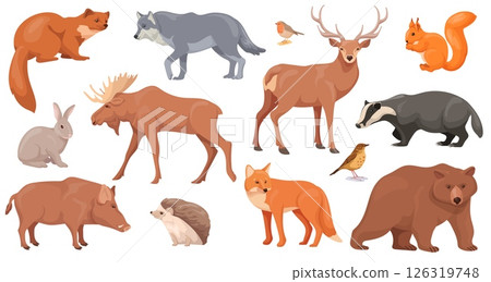 Woodland wild animal. Forest realistic animals fauna set, bear fox deer rabbit wildlife nature isolated characters zoo wood land inhabitants, cartoon neat vector illustration Woodland wild animal. Forest realistic animals fauna set, bear fox deer rabbit wildlife nature isolated characters zoo wood land inhabitants, cartoon neat vector illustration 126319748
