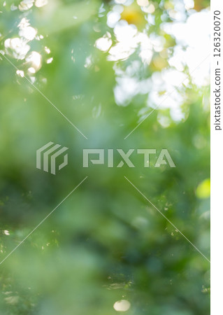 Business concept nature revolves around citrus orchard orange tree are growing, vibrant fruit organic lush leaves creating stunning background, green blur garden of thriving crop ripe laden branches 126320070
