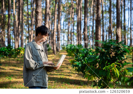 Harvest coffee bean ripe Red berries typing laptop computer check quality control plant coffee tree. Smart farmer using laptop in green coffee farm sustainable quality control agriculture technology 126320659