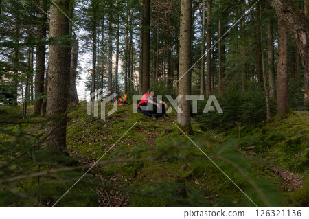 Exploring tranquility among tall trees in a serene forest during the golden hour with friends enjoying nature's embrace 126321136