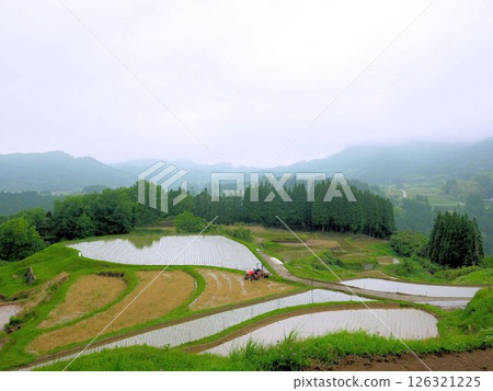 下福倉梯田的雨季風景（熊本縣美里町） 126321225