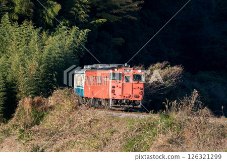 [麥線] 清晨普通列車前往德島站 126321299
