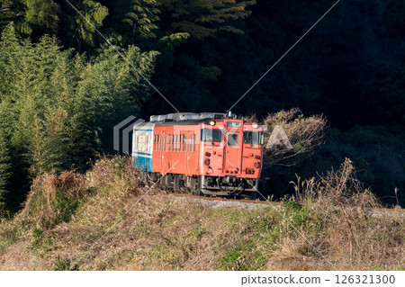 [麥線] 清晨普通列車前往德島站 126321300