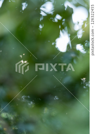 Business concept nature revolves around citrus orchard orange tree are growing, vibrant fruit organic lush leaves creating stunning background, green blur garden of thriving crop ripe laden branches Business concept nature revolves around citrus orchard orange tree are growing, vibrant fruit organic lush leaves creating stunning background, green blur garden of thriving crop ripe laden branches 126322455
