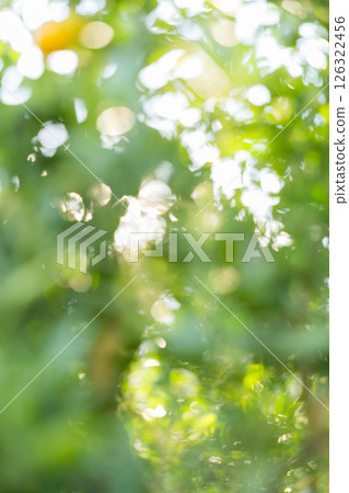 Business concept nature revolves around citrus orchard orange tree are growing, vibrant fruit organic lush leaves creating stunning background, green blur garden of thriving crop ripe laden branches 126322456