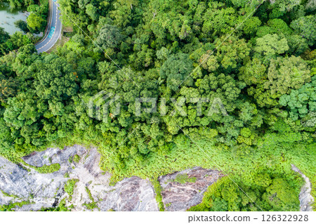 Top view green forest trees background, Beautiful green nature background 126322928