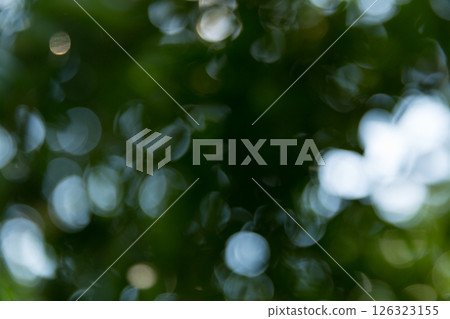 Business concept nature revolves around citrus orchard orange tree are growing, vibrant fruit organic lush leaves creating stunning background, green blur garden of thriving crop ripe laden branches 126323155