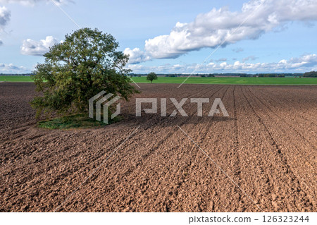 Lonely tree in the middle of a ploughed field, aerial view Lonely tree in the middle of a ploughed field, aerial view 126323244