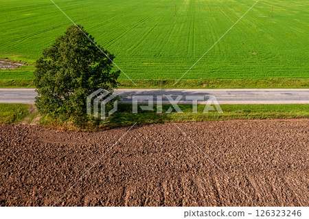 Aerial view of the road through the green field in spring. Aerial view of the road through the green field in spring. 126323246