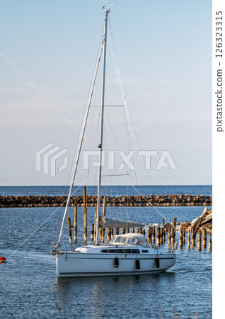 Generated image 126323315