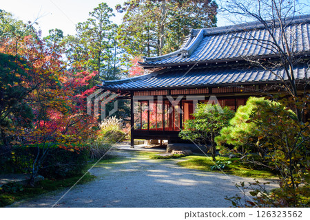 南禪寺的天守庵被秋色染紅 126323562