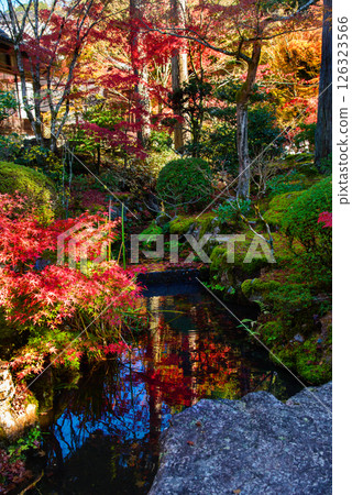 Autumn leaves reflected on the water surface at Tenjuan Autumn leaves reflected on the water surface at Tenjuan 126323566