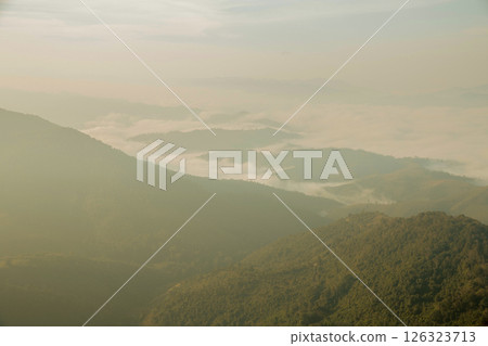 Mountain landscape. foggy morning. High angle view of trees in forest during foggy weather. Beautiful mountain and cloud natural landscape at sunrise in Thailand. evergreen coniferous forest in fog. Mountain landscape. foggy morning. High angle view of trees in forest during foggy weather. Beautiful mountain and cloud natural landscape at sunrise in Thailand. evergreen coniferous forest in fog. 126323713
