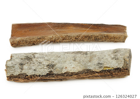 piece of aspen bark isolated on white background. piece of aspen bark isolated on white background. 126324027