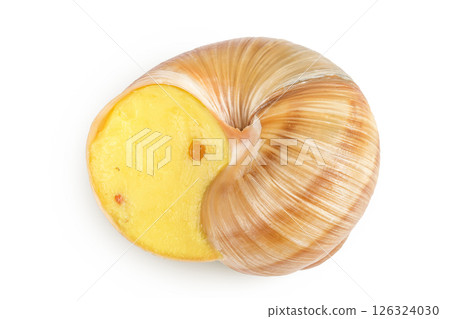 Dijon escargot snail filled with butter, garlic, Dijon mustard and cheese isolated on white background. Top view 126324030