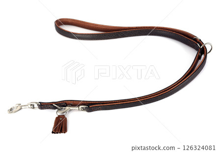 leather leash in studio leather leash in studio 126324081