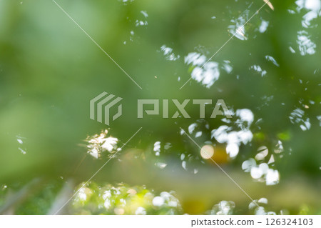 Business concept nature revolves around citrus orchard orange tree are growing, vibrant fruit organic lush leaves creating stunning background, green blur garden of thriving crop ripe laden branches 126324103