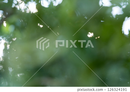 Business concept nature revolves around citrus orchard orange tree are growing, vibrant fruit organic lush leaves creating stunning background, green blur garden of thriving crop ripe laden branches 126324191