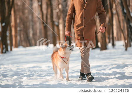 On a leash. Man having a walk with his akita inu dog outdoors in the park at winter On a leash. Man having a walk with his akita inu dog outdoors in the park at winter 126324576