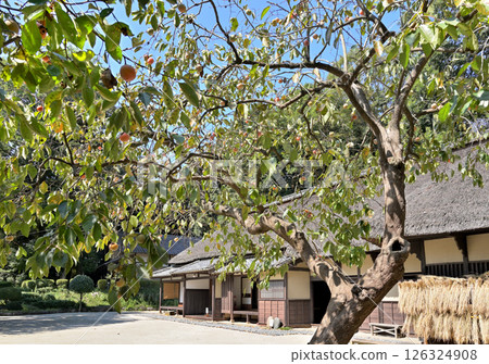 Minuma rice field: Former Bando family residence, Minuma Classic Hall 126324908