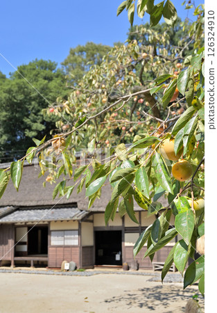 見沼稻田:坂東故居、見沼古典館 見沼稻田:坂東故居、見沼古典館 126324910