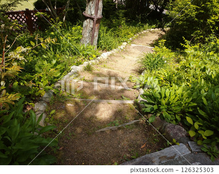 綠道 126325303