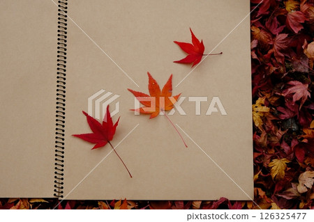 Sketchbook and fallen leaves autumn image material Sketchbook and fallen leaves autumn image material 126325477