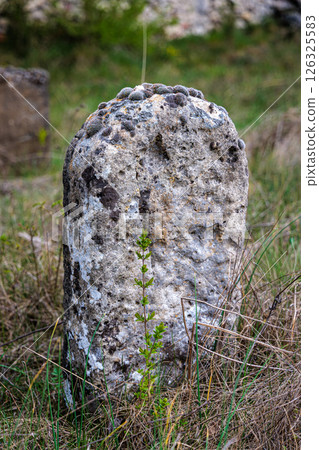 Fragments of an old Jewish cemetery near the village of Trstin, Slovakia 126325583