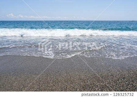 高知/京濱 126325732