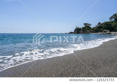 高知/京濱 126325733