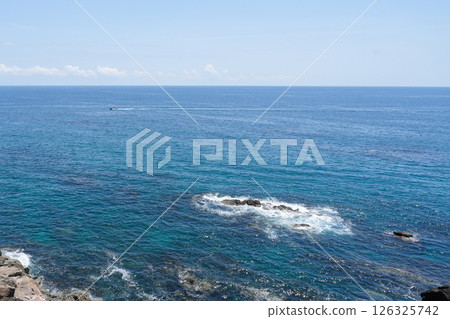 高知/京濱 高知/京濱 126325742