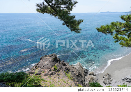 Kochi / Keihin 126325744