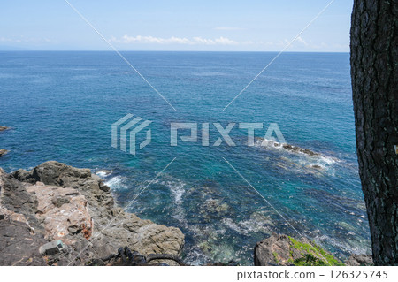 Kochi / Keihin 126325745