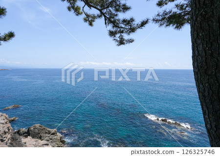 Kochi / Keihin Kochi / Keihin 126325746