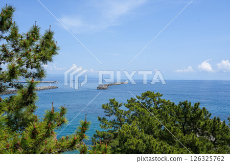 高知/京濱 126325762