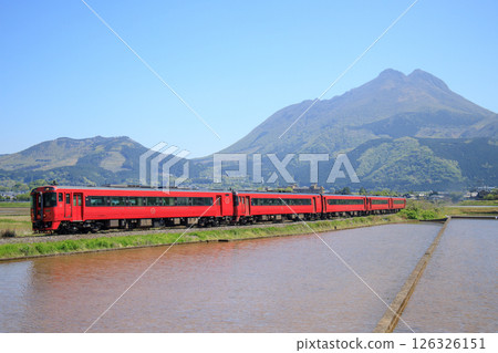 由布岳的春霧與紅色特快列車（JR九州KIHA185系） 126326151