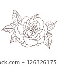 Monochrome Hand Drawn Line Art Rose Flower Drawing 126326175